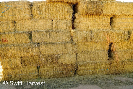 H&C Farms #1 Alfalfa 3 String Bale Hay Arizona Alfalfa 3-String Hay under 100 lbs B1-6-23A per bale