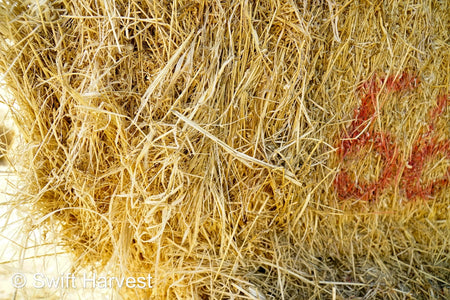 H&C Farms #1 Alfalfa 3 String Bale Hay Arizona Alfalfa 3-String Hay under 100 lbs B1-6-23A per bale