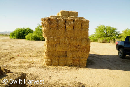 H&C Farms #1 Alfalfa 3 String Bale Hay Arizona Alfalfa 3-String Hay under 100 lbs B1-6-23A per bale