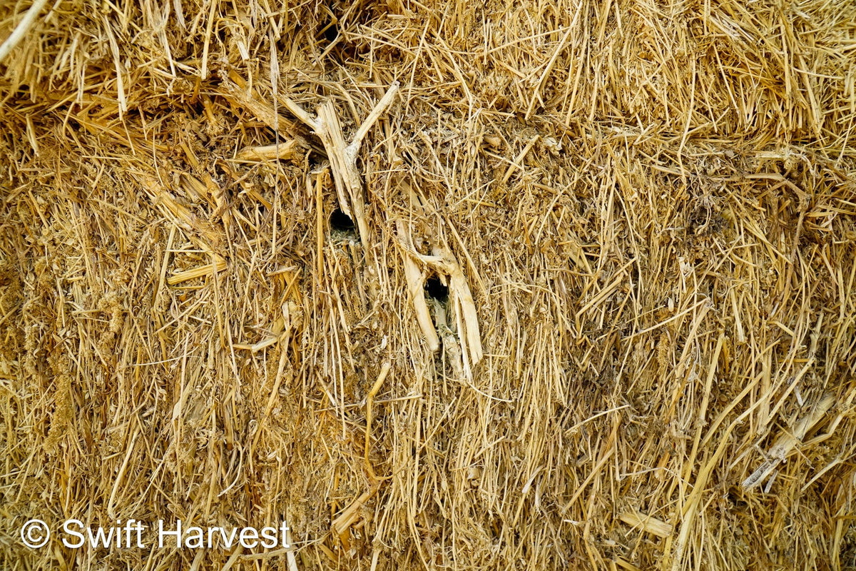 H&C Farms #1 Alfalfa 3 String Bale Hay Arizona Alfalfa 3-String Hay under 100 lbs B1-6-23A per bale