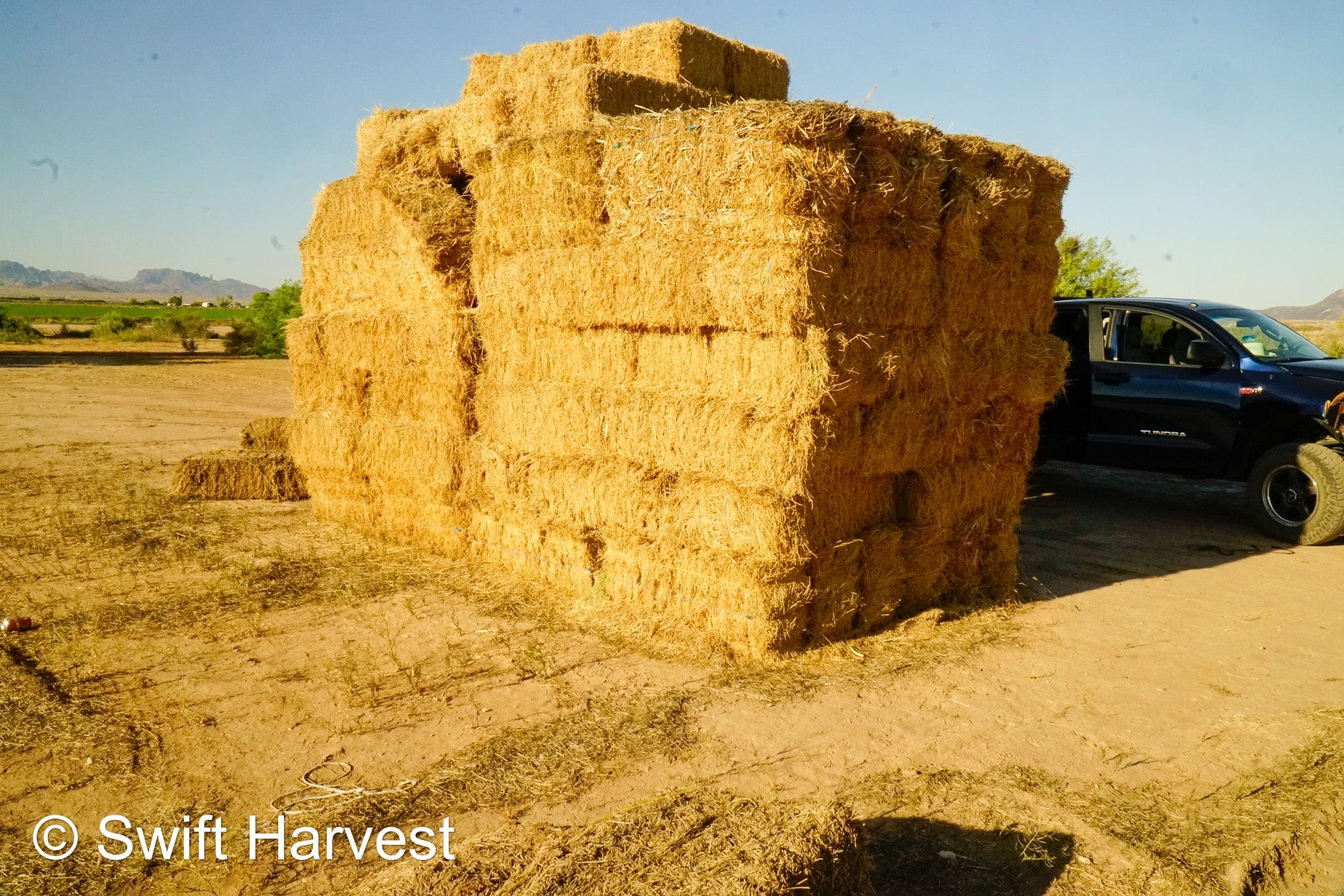 H&C Farms #1 Alfalfa 3 String Bale Hay Arizona Alfalfa 3-String Hay under 100 lbs B1-6-23A per bale