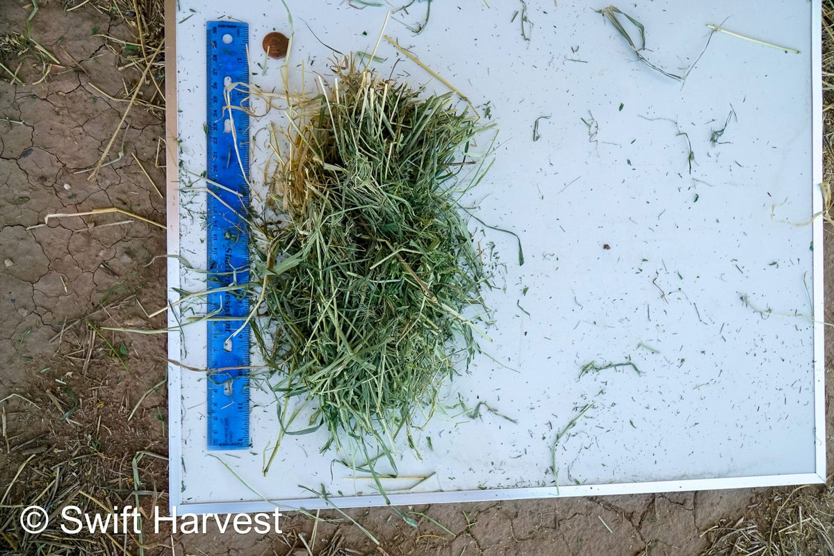 H&C Farms #1 Alfalfa 3 String Bale Hay Arizona Alfalfa 3-String Hay under 100 lbs B1-6-23A per bale