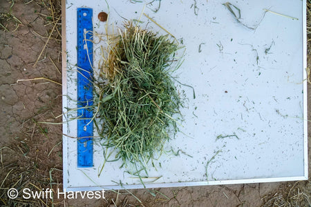 H&C Farms #1 Alfalfa 3 String Bale Hay Arizona Alfalfa 3-String Hay under 100 lbs B1-6-23A per bale