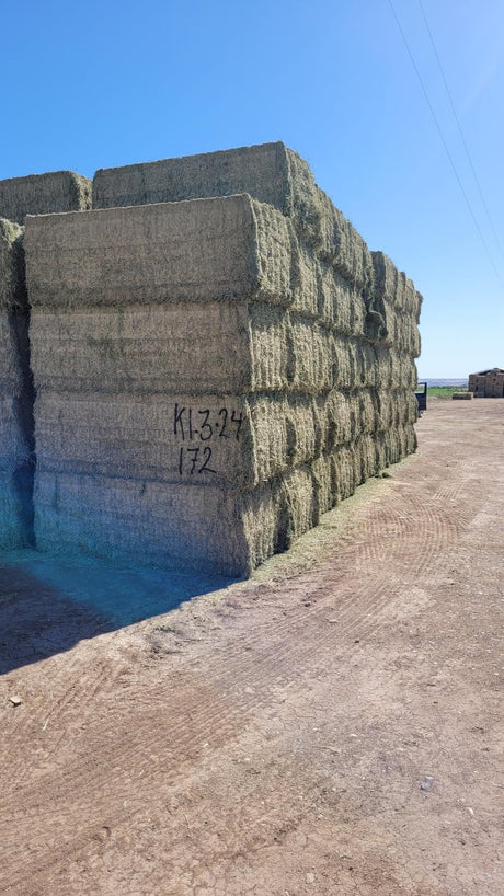 H&C Farms #1 Alfalfa 3 String Bale Hay Arizona Alfalfa Big Bales K1-3-24 per bale