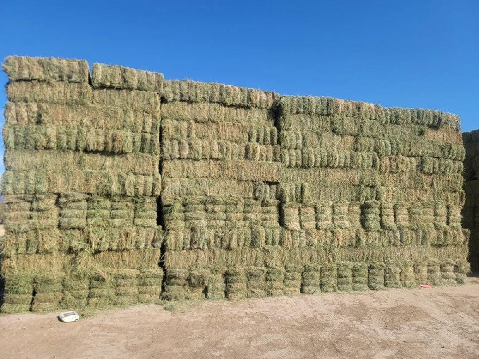 H&C Farms #1 Alfalfa 3 String Bale Hay B1-7-24A Arizona Alfalfa 3-String Hay under 100 lbs per bale