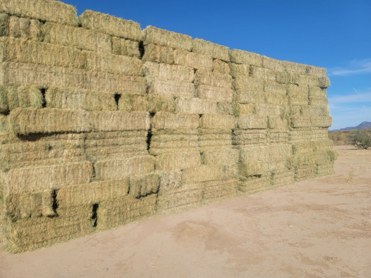 H&C Farms #1 Alfalfa 3 String Bale Hay B1-7-24B Arizona Alfalfa 3-String Hay under 100 lbs per bale