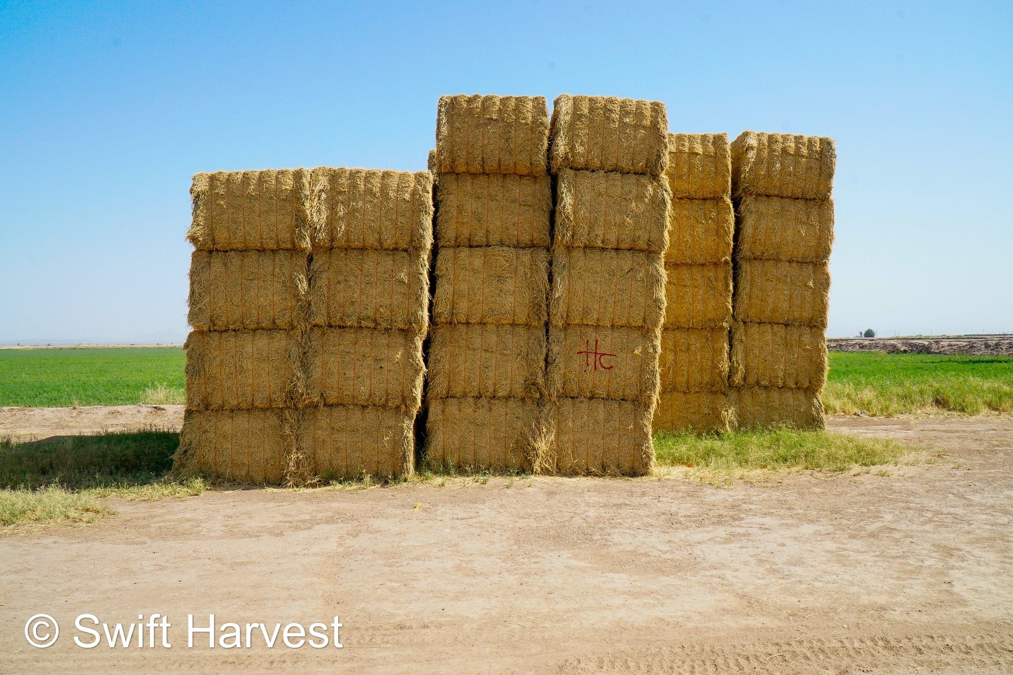 H&C Farms #1 Alfalfa 3 String Bale Hay H1-3-24 Good Test Hay Arizona Alfalfa Big Bale RFV 158 CP 21.38 TDN 57.75 FACS 99/110