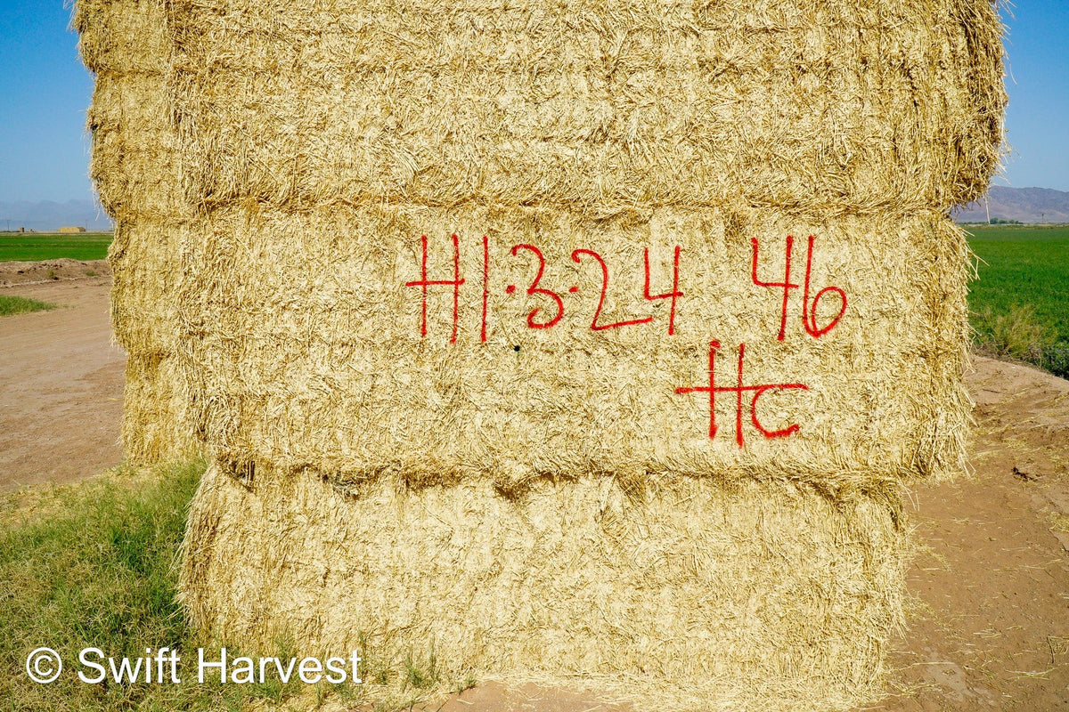 H&C Farms #1 Alfalfa 3 String Bale Hay H1-3-24 Good Test Hay Arizona Alfalfa Big Bale RFV 158 CP 21.38 TDN 57.75 FACS 99/110