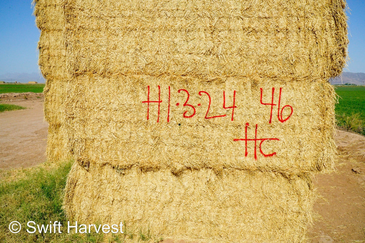 H&C Farms #1 Alfalfa 3 String Bale Hay H1-3-24 Good Test Hay Arizona Alfalfa Big Bale RFV 158 CP 21.38 TDN 57.75 FACS 99/110