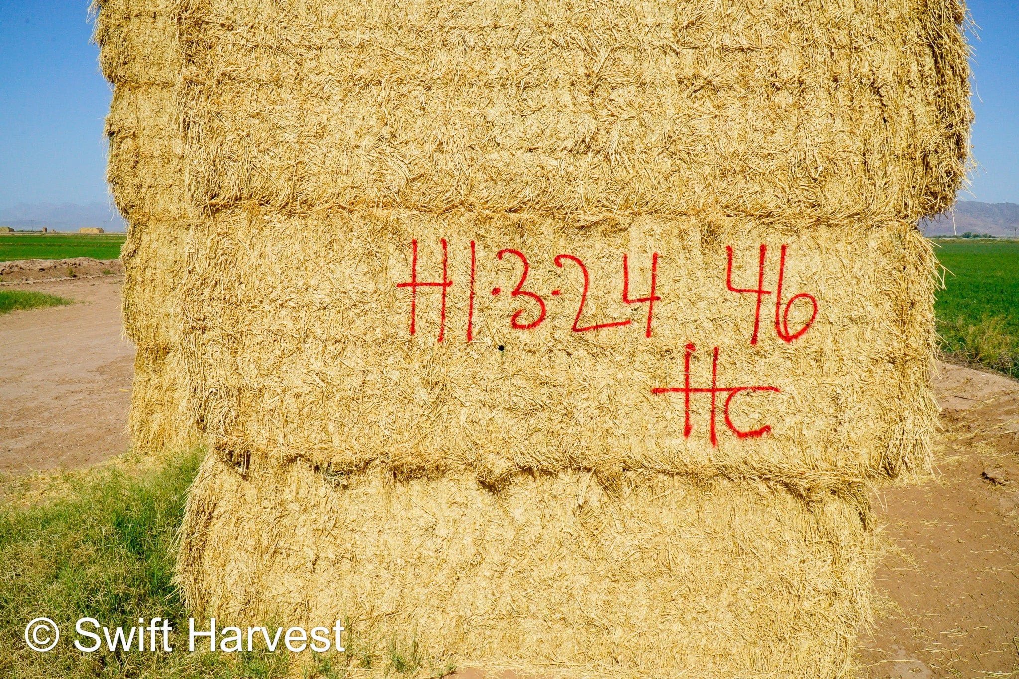 H&C Farms #1 Alfalfa 3 String Bale Hay H1-3-24 Good Test Hay Arizona Alfalfa Big Bale RFV 158 CP 21.38 TDN 57.75 FACS 99/110