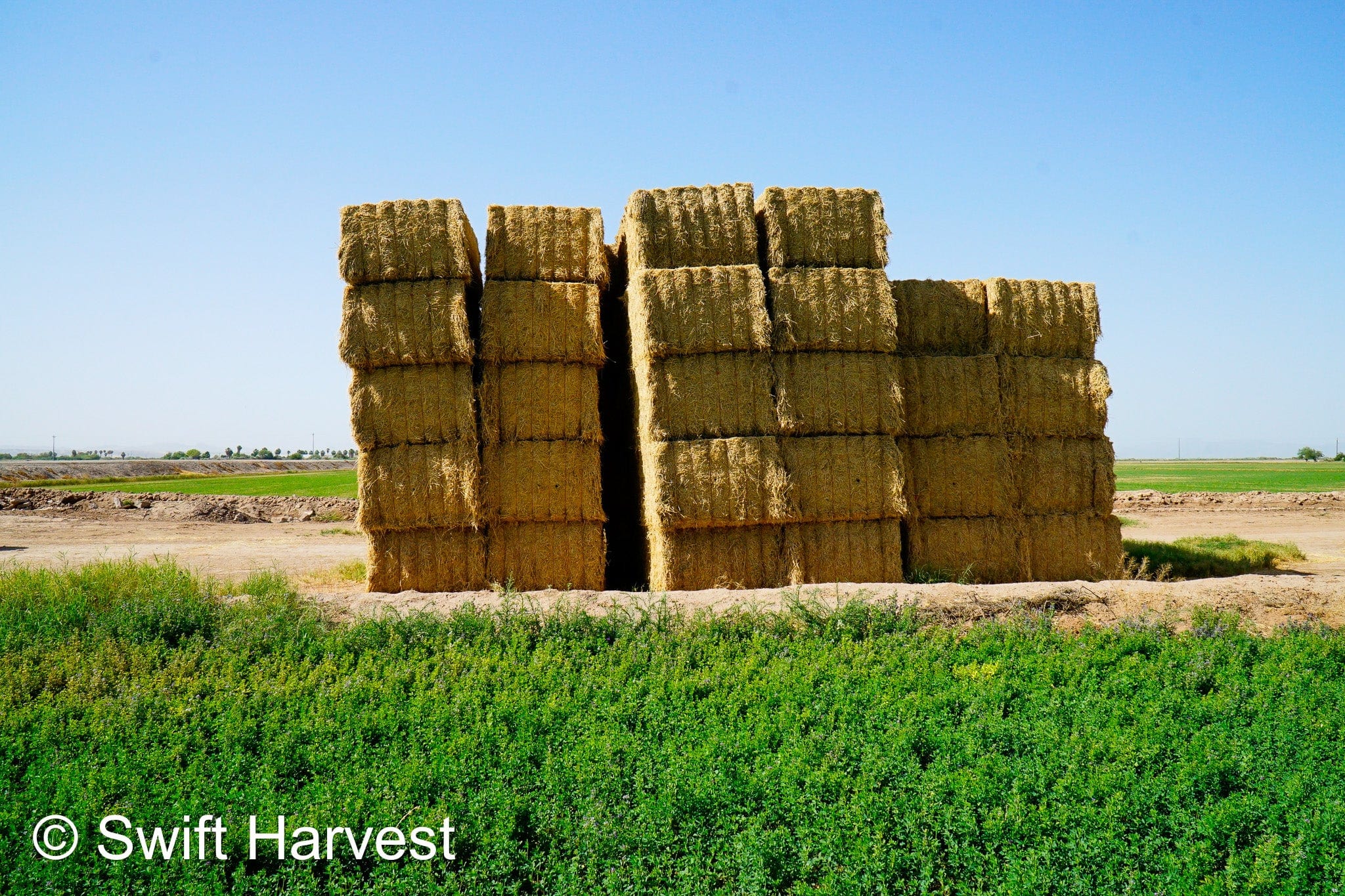 H&C Farms #1 Alfalfa 3 String Bale Hay H1-3-24 Good Test Hay Arizona Alfalfa Big Bale RFV 158 CP 21.38 TDN 57.75 FACS 99/110