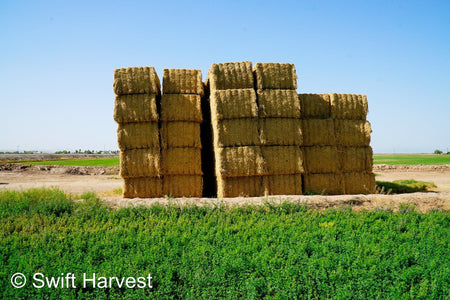 H&C Farms #1 Alfalfa 3 String Bale Hay H1-3-24 Good Test Hay Arizona Alfalfa Big Bale RFV 158 CP 21.38 TDN 57.75 FACS 99/110