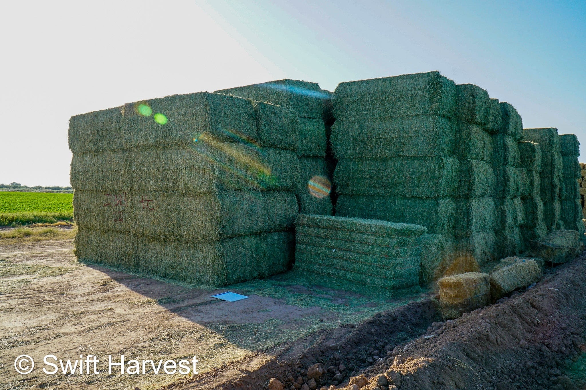 H&C Farms #1 Alfalfa 3 String Bale Hay I1-3-23 Supreme Test Hay Arizona Alfalfa Big Bale per ton RFV 201.62 CP 22.89 TDN 64.53 SH 87/110