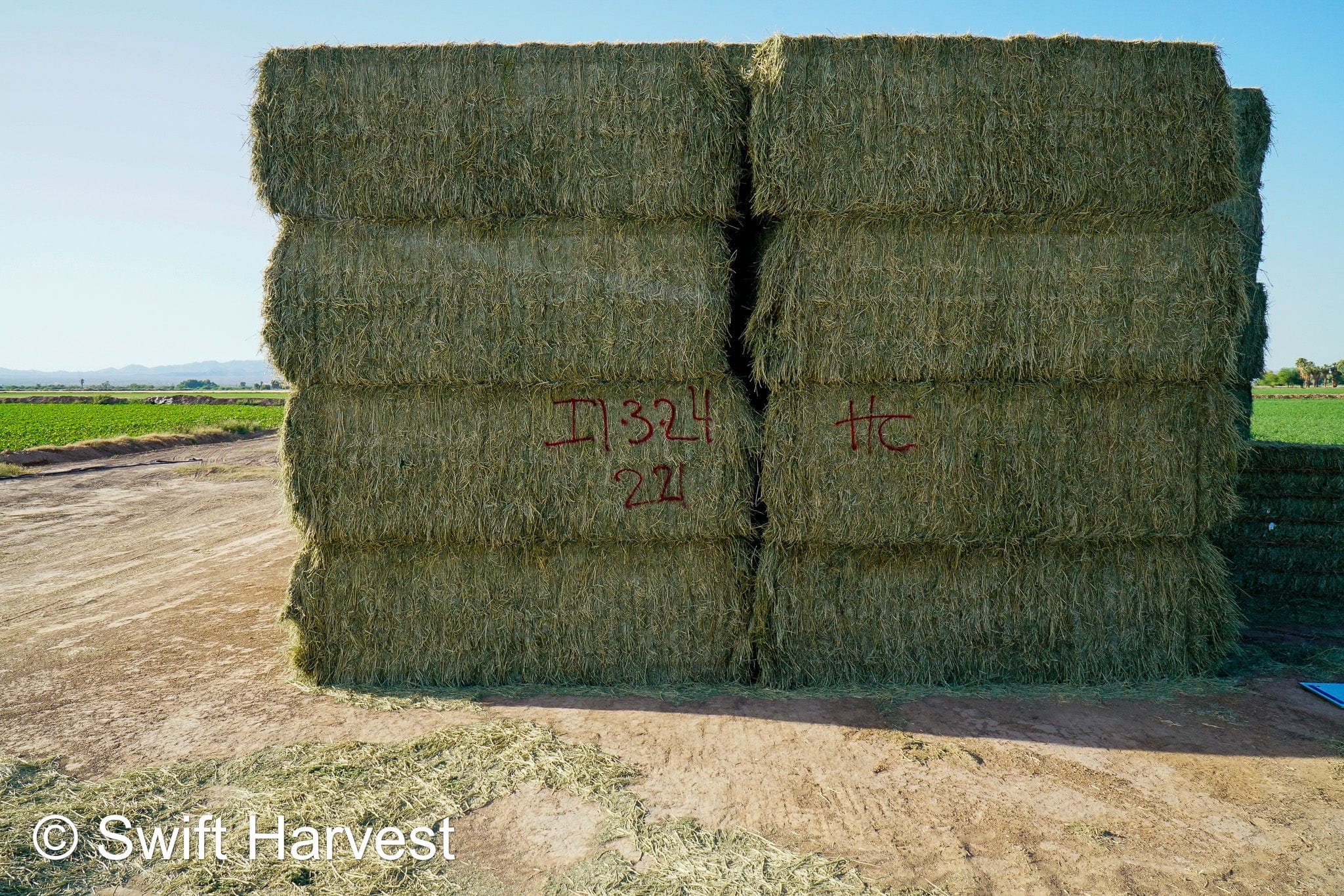 H&C Farms #1 Alfalfa 3 String Bale Hay I1-3-23 Supreme Test Hay Arizona Alfalfa Big Bale per ton RFV 201.62 CP 22.89 TDN 64.53 SH 87/110