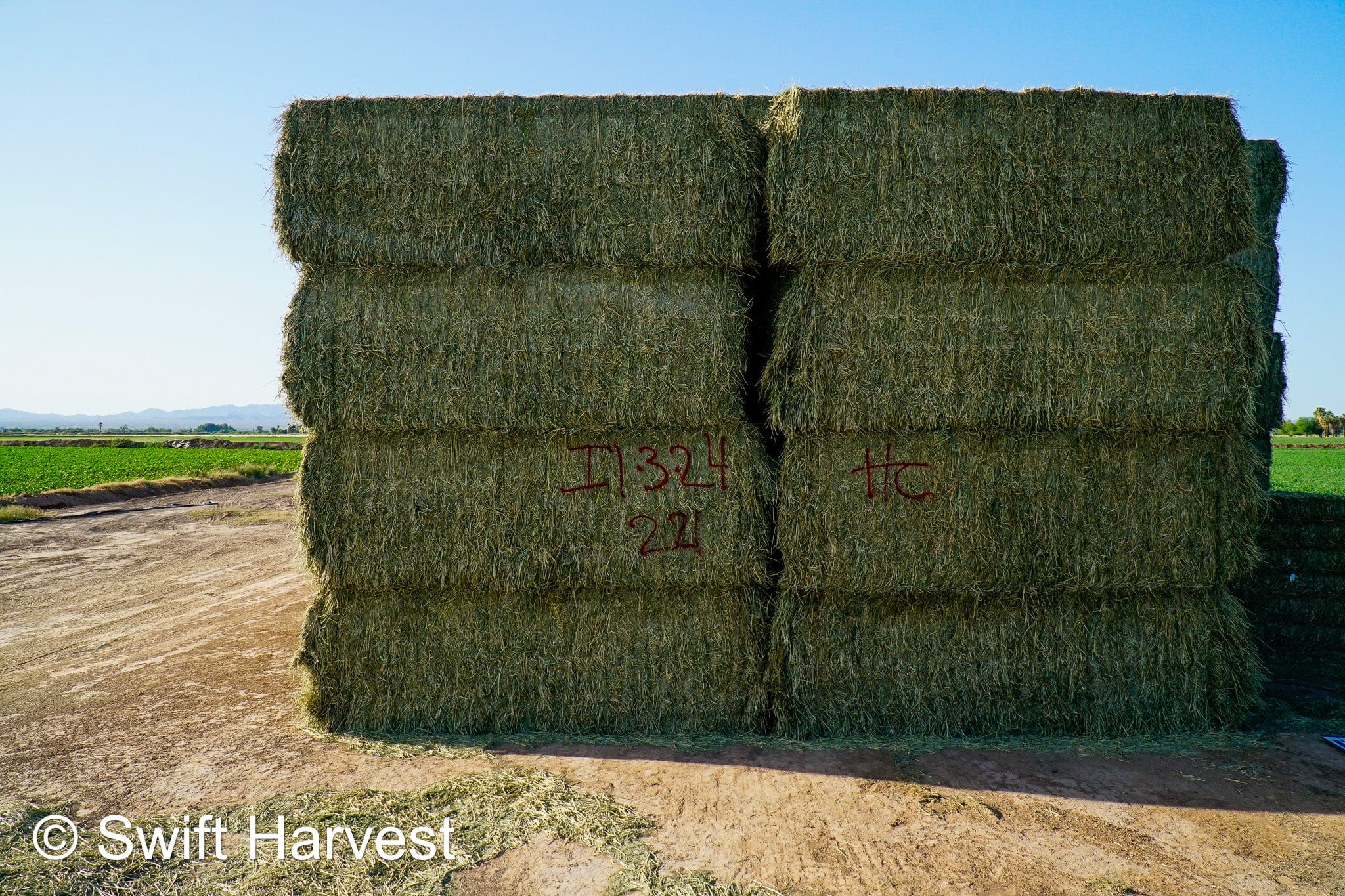 H&C Farms #1 Alfalfa 3 String Bale Hay I1-3-23 Supreme Test Hay Arizona Alfalfa Big Bale per ton RFV 201.62 CP 22.89 TDN 64.53 SH 87/110