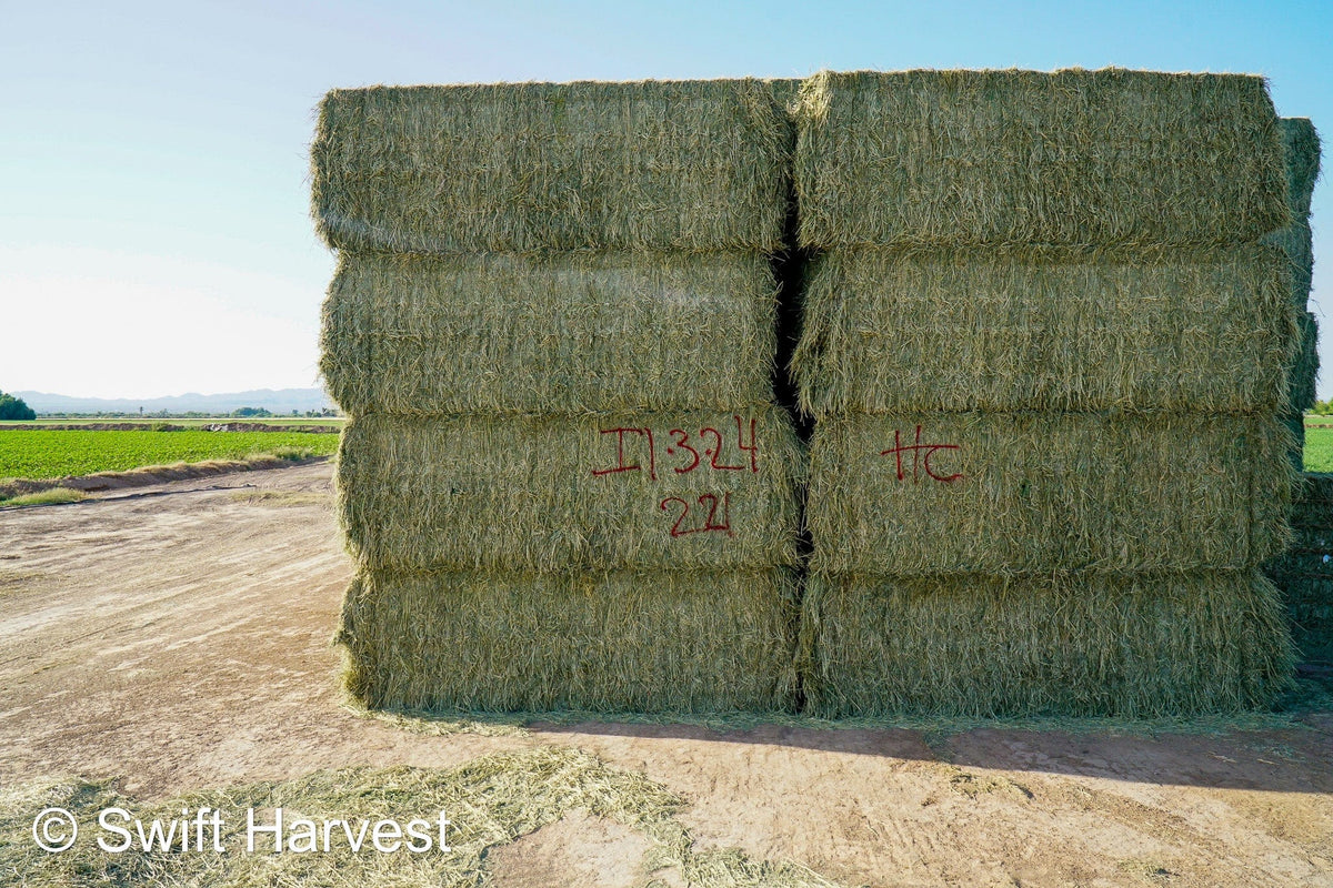 H&C Farms #1 Alfalfa 3 String Bale Hay I1-3-23 Supreme Test Hay Arizona Alfalfa Big Bale per ton RFV 201.62 CP 22.89 TDN 64.53 SH 87/110