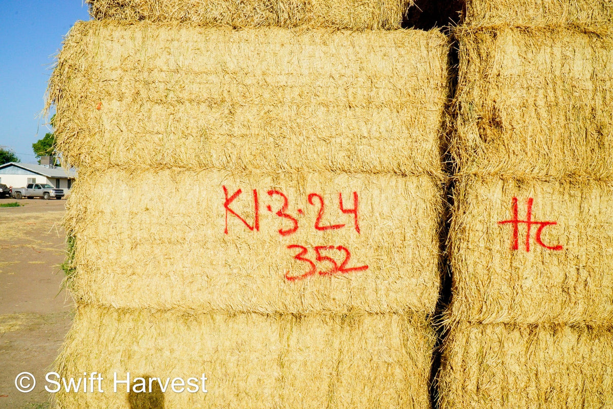 H&C Farms #1 Alfalfa 3 String Bale Hay K1-3-24 Test Hay Utility Fair Arizona Alfalfa Big Bale RFV 118 CP 17.18 TDN 53 FACS 77 / 110