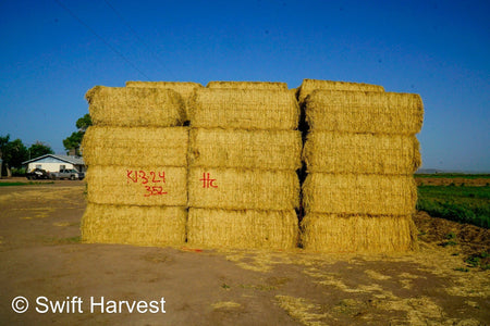 H&C Farms #1 Alfalfa 3 String Bale Hay K1-3-24 Test Hay Utility Fair Arizona Alfalfa Big Bale RFV 118 CP 17.18 TDN 53 FACS 77 / 110