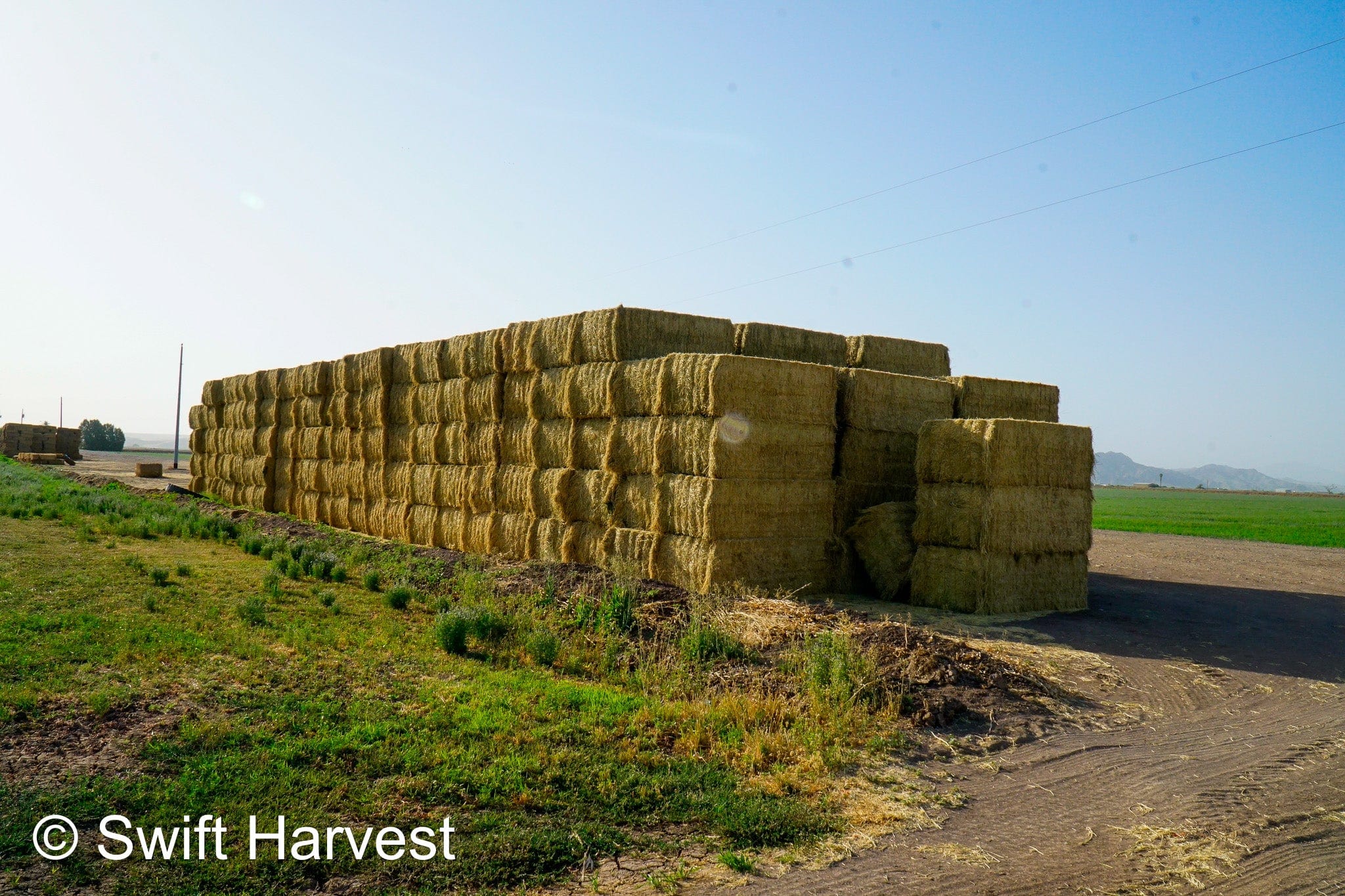 H&C Farms #1 Alfalfa 3 String Bale Hay K1-3-24 Test Hay Utility Fair Arizona Alfalfa Big Bale RFV 118 CP 17.18 TDN 53 FACS 77 / 110