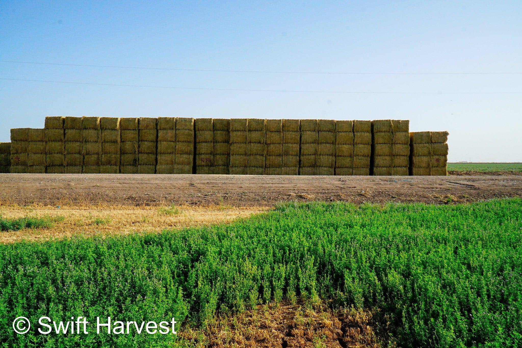 H&C Farms #1 Alfalfa 3 String Bale Hay K1-3-24 Test Hay Utility Fair Arizona Alfalfa Big Bale RFV 118 CP 17.18 TDN 53 FACS 77 / 110