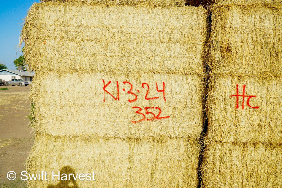 H&C Farms #1 Alfalfa 3 String Bale Hay K1-3-24 Test Hay Utility Fair Arizona Alfalfa Big Bale RFV 118 CP 17.18 TDN 53 FACS 77 / 110