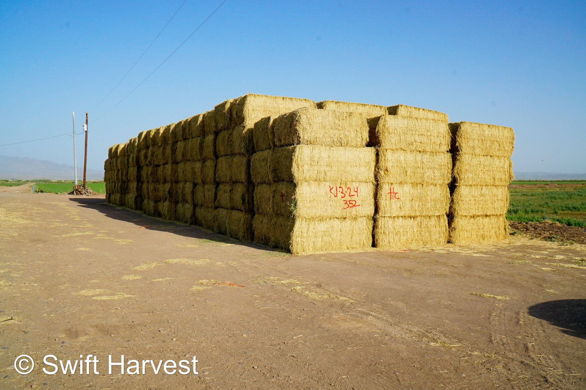 H&C Farms #1 Alfalfa 3 String Bale Hay K1-3-24 Test Hay Utility Fair Arizona Alfalfa Big Bale RFV 118 CP 17.18 TDN 53 FACS 77 / 110