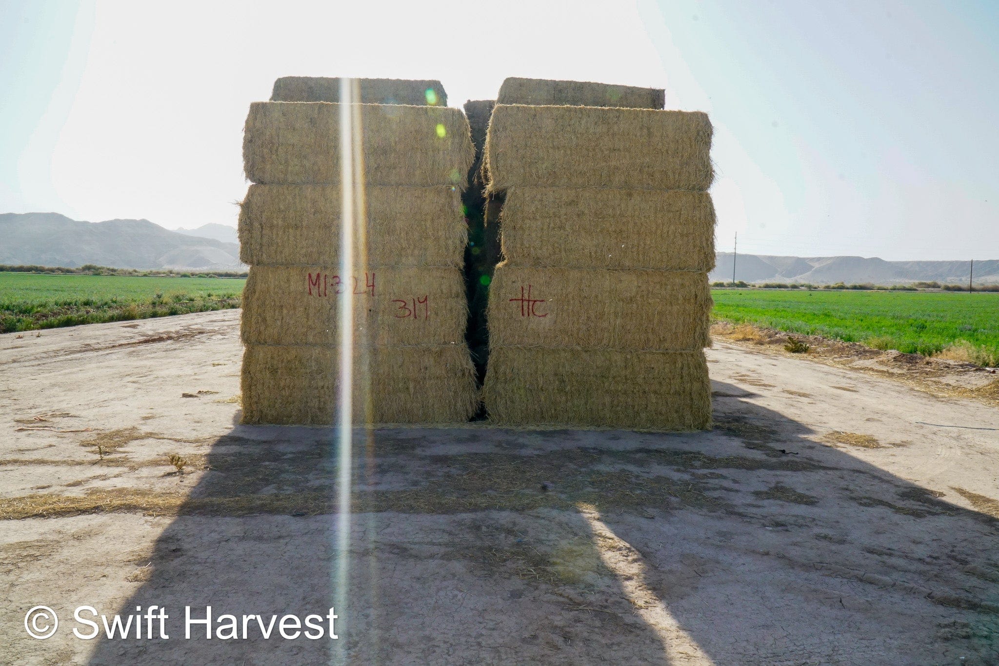 H&C Farms #1 Alfalfa 3 String Bale Hay M1-3-24 Good Test Hay Arizona Alfalfa Big Bale RFV 155 CP 18.94 TDN 57.77 Facs 84/110