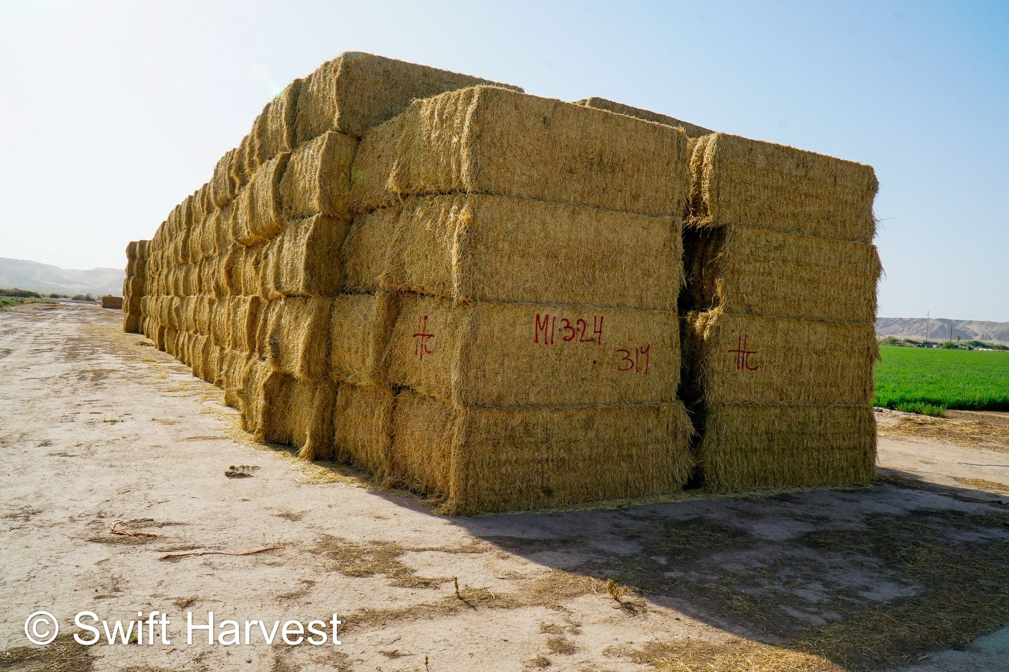 H&C Farms #1 Alfalfa 3 String Bale Hay M1-3-24 Good Test Hay Arizona Alfalfa Big Bale RFV 155 CP 18.94 TDN 57.77 Facs 84/110