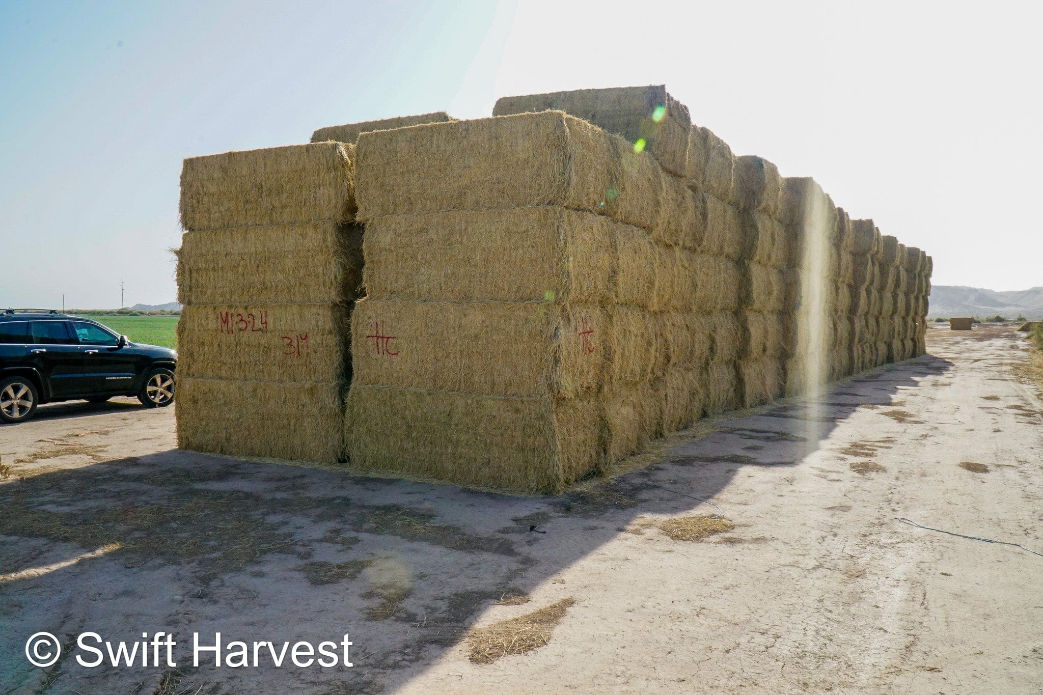 H&C Farms #1 Alfalfa 3 String Bale Hay M1-3-24 Good Test Hay Arizona Alfalfa Big Bale RFV 155 CP 18.94 TDN 57.77 Facs 84/110