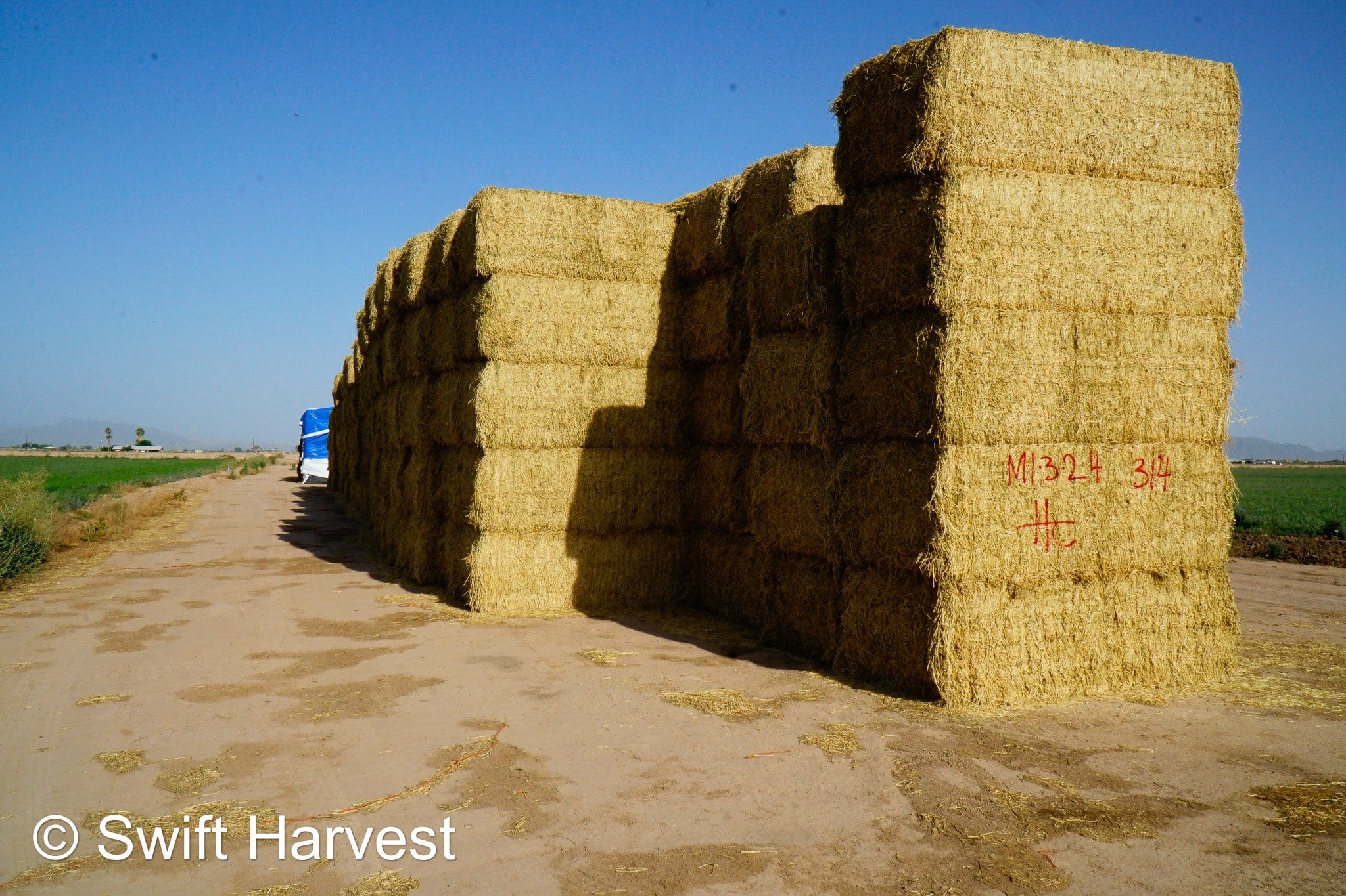 H&C Farms #1 Alfalfa 3 String Bale Hay M1-3-24 Good Test Hay Arizona Alfalfa Big Bale RFV 155 CP 18.94 TDN 57.77 Facs 84/110