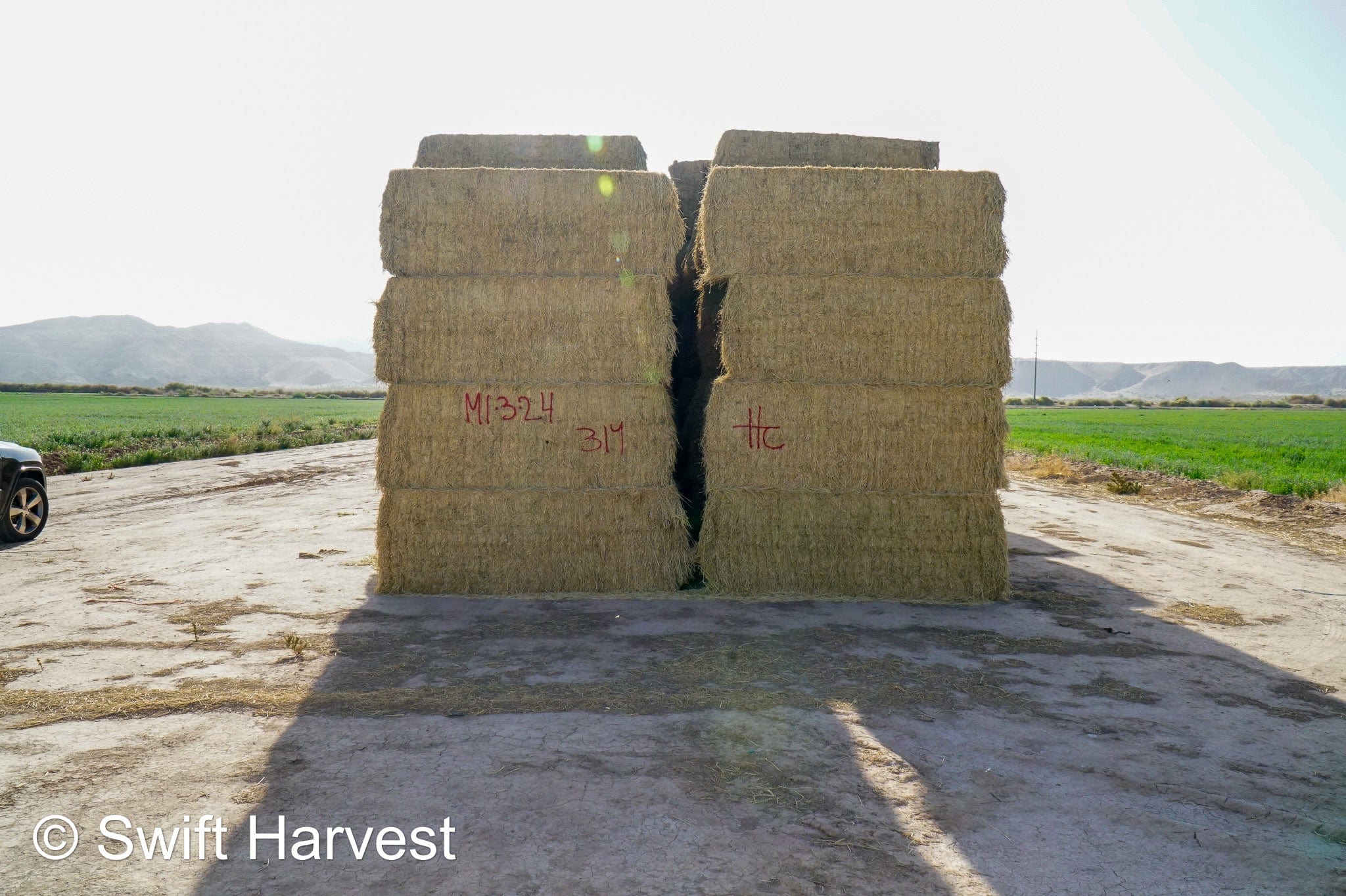 H&C Farms #1 Alfalfa 3 String Bale Hay M1-3-24 Good Test Hay Arizona Alfalfa Big Bale RFV 155 CP 18.94 TDN 57.77 Facs 84/110