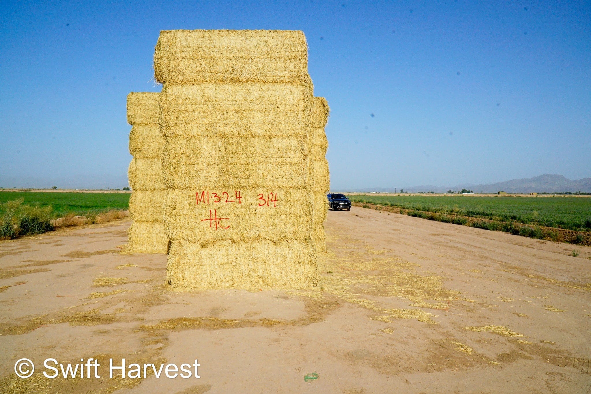 H&C Farms #1 Alfalfa 3 String Bale Hay M1-3-24 Good Test Hay Arizona Alfalfa Big Bale RFV 155 CP 18.94 TDN 57.77 Facs 84/110