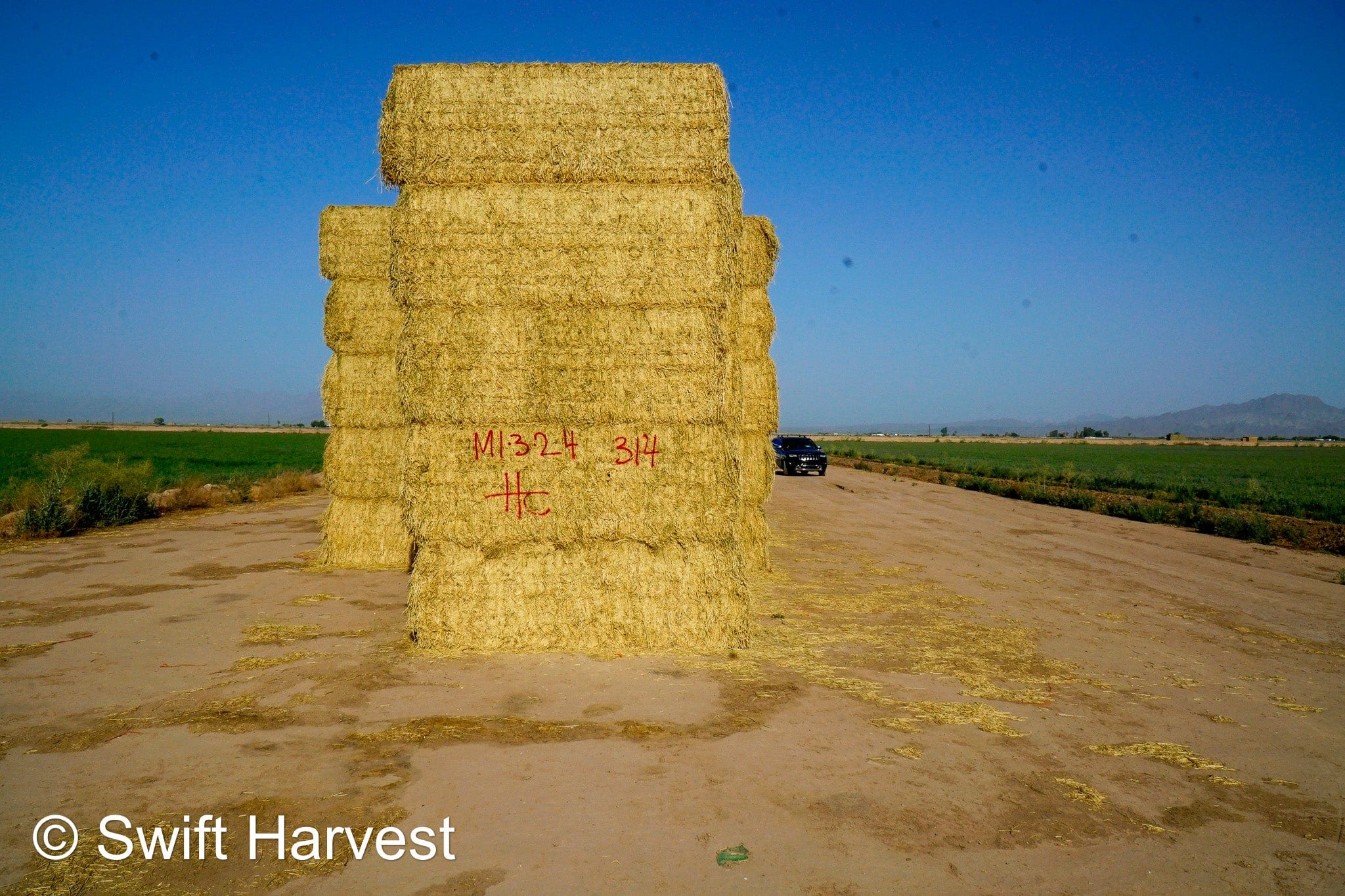 H&C Farms #1 Alfalfa 3 String Bale Hay M1-3-24 Good Test Hay Arizona Alfalfa Big Bale RFV 155 CP 18.94 TDN 57.77 Facs 84/110