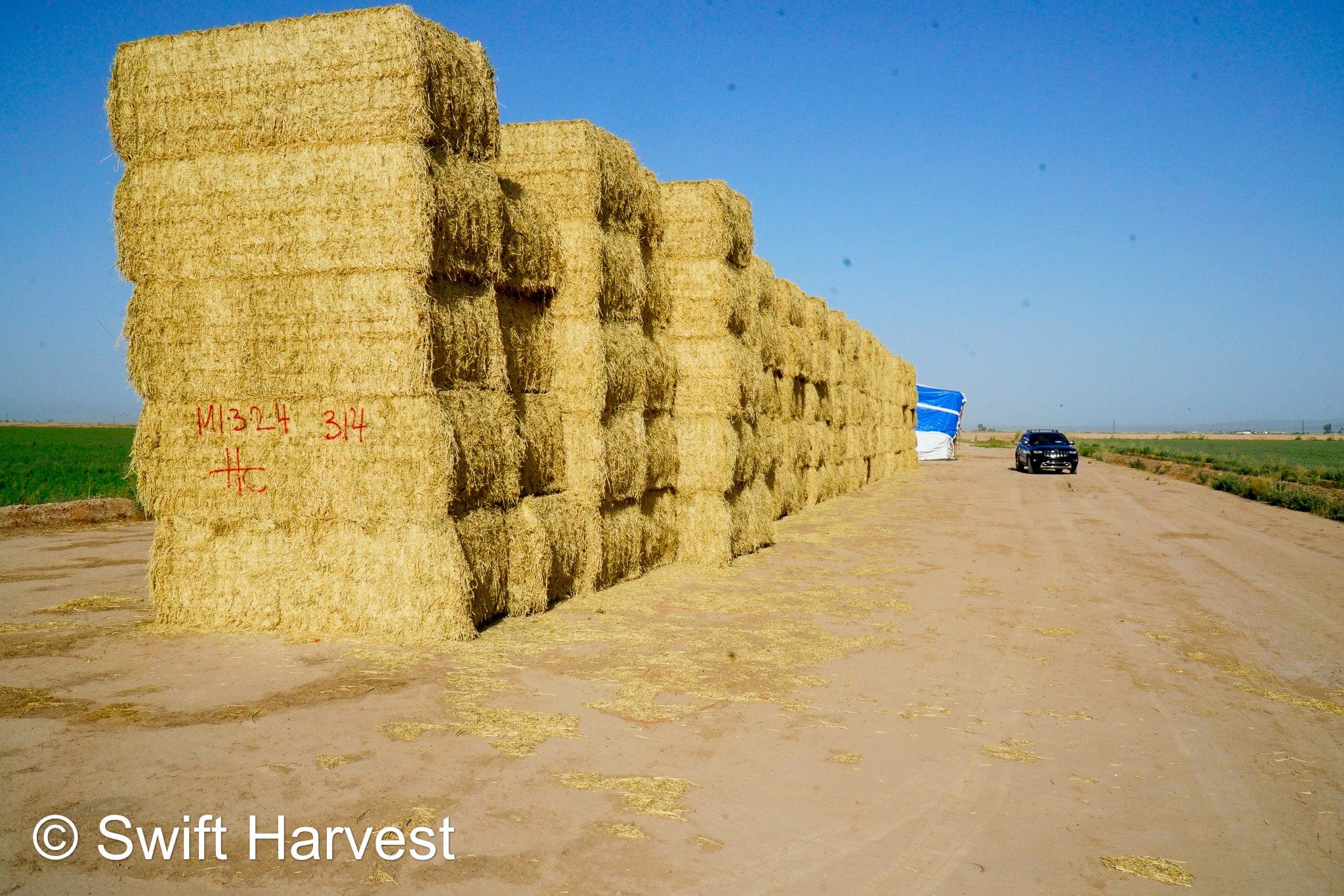 H&C Farms #1 Alfalfa 3 String Bale Hay M1-3-24 Good Test Hay Arizona Alfalfa Big Bale RFV 155 CP 18.94 TDN 57.77 Facs 84/110