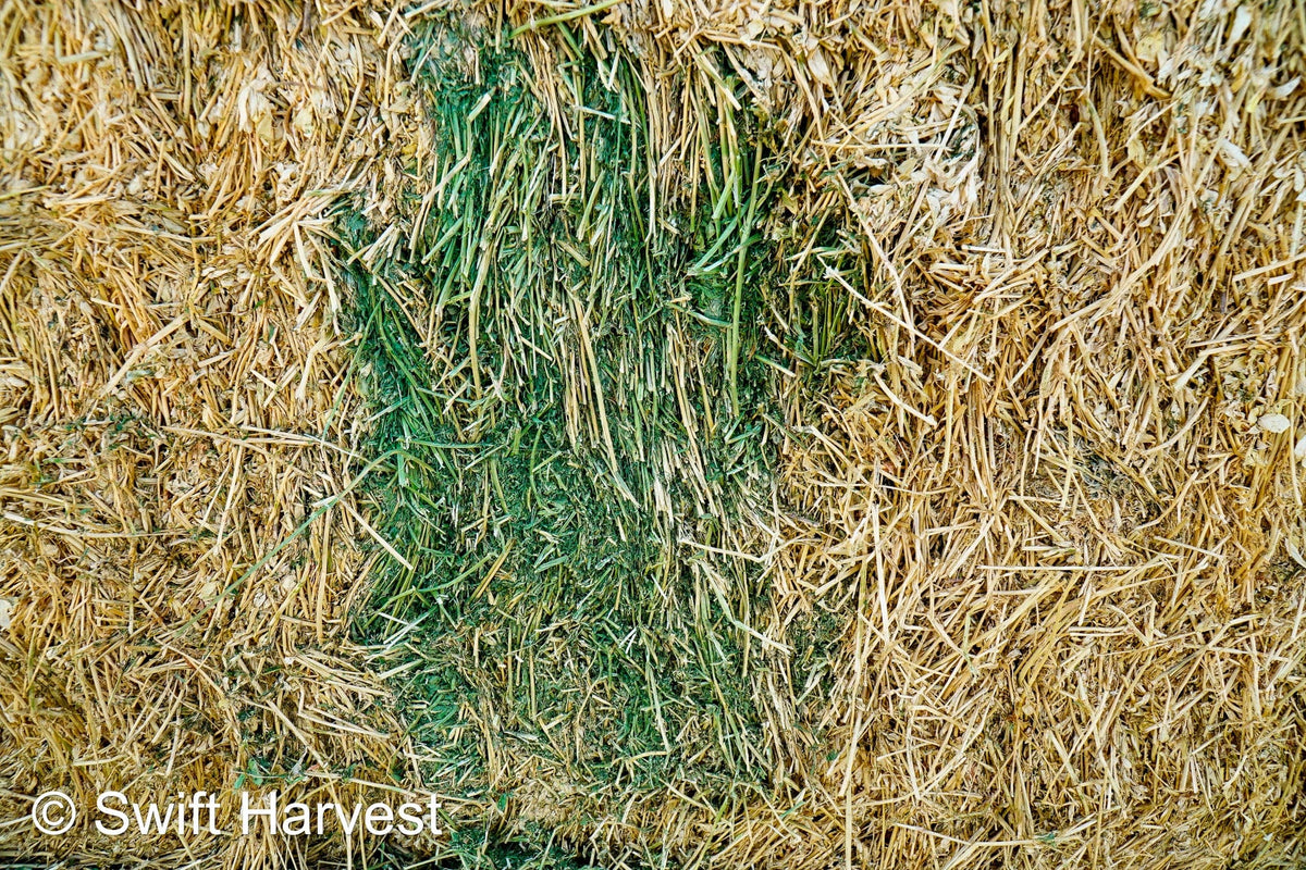 H&C Farms #1 Alfalfa 3 String Bale Hay M1-3-24 Good Test Hay Arizona Alfalfa Big Bale RFV 155 CP 18.94 TDN 57.77 Facs 84/110