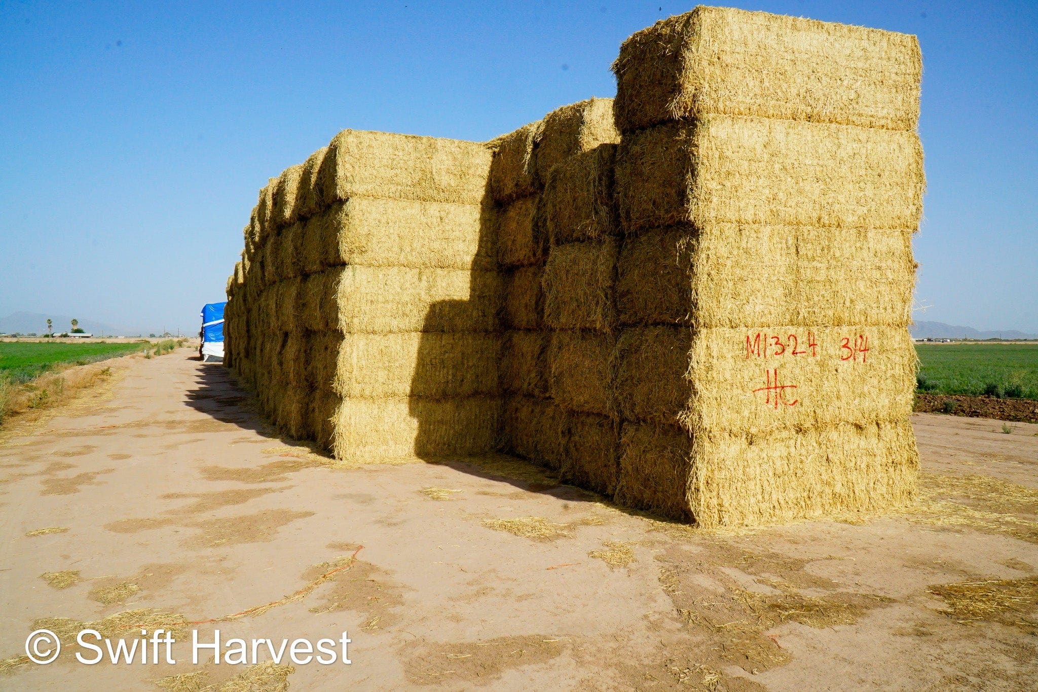 H&C Farms #1 Alfalfa 3 String Bale Hay M1-3-24 Good Test Hay Arizona Alfalfa Big Bale RFV 155 CP 18.94 TDN 57.77 Facs 84/110