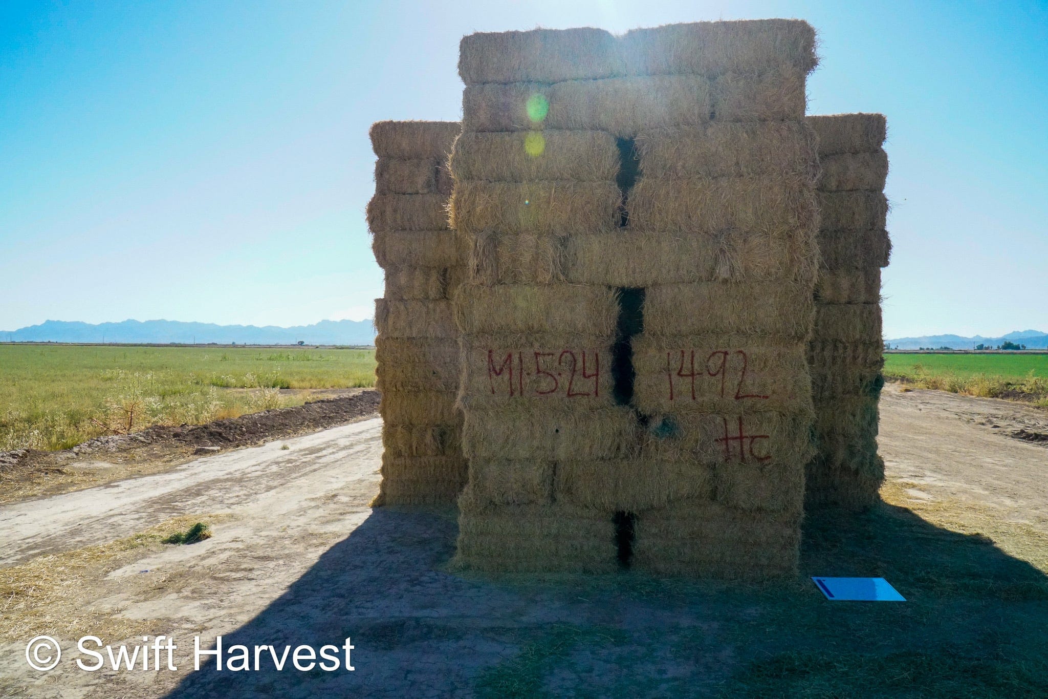 H&C Farms #1 Alfalfa 3 String Bale Hay M1-5-24 Prem/Supr AZ Alfalfa Bermuda Mix Small Bale CP 20 RFV 178 TDN 62  FACS 85/110