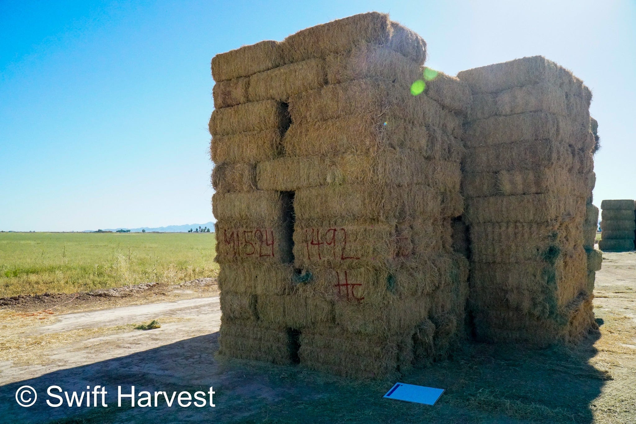 H&C Farms #1 Alfalfa 3 String Bale Hay M1-5-24 Prem/Supr AZ Alfalfa Bermuda Mix Small Bale CP 20 RFV 178 TDN 62  FACS 85/110