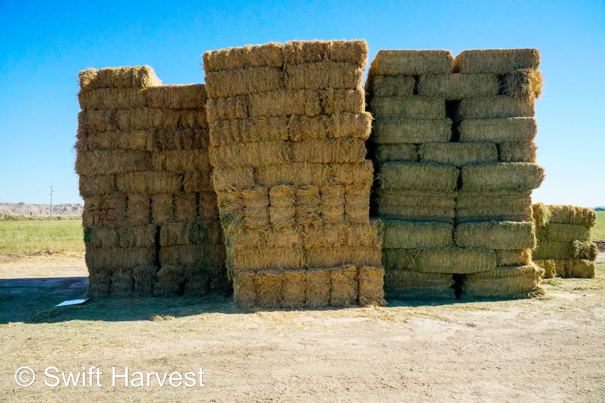 H&C Farms #1 Alfalfa 3 String Bale Hay M1-5-24 Prem/Supr AZ Alfalfa Bermuda Mix Small Bale CP 20 RFV 178 TDN 62  FACS 85/110