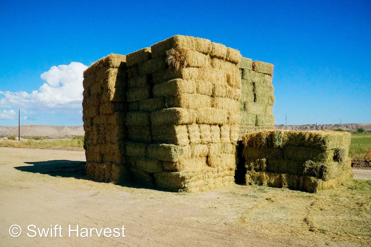 H&C Farms #1 Alfalfa 3 String Bale Hay M1-5-24 Prem/Supr AZ Alfalfa Bermuda Mix Small Bale CP 20 RFV 178 TDN 62  FACS 85/110