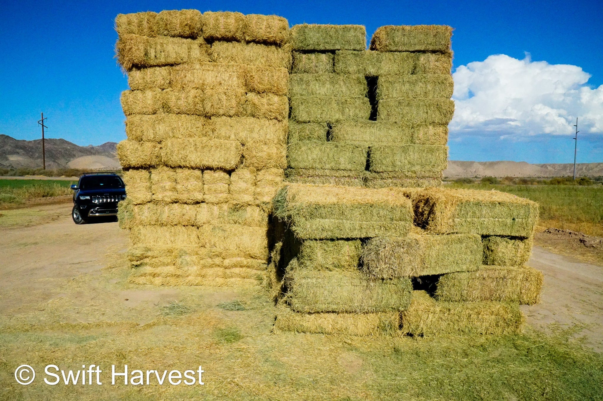 H&C Farms #1 Alfalfa 3 String Bale Hay M1-5-24 Prem/Supr AZ Alfalfa Bermuda Mix Small Bale CP 20 RFV 178 TDN 62  FACS 85/110