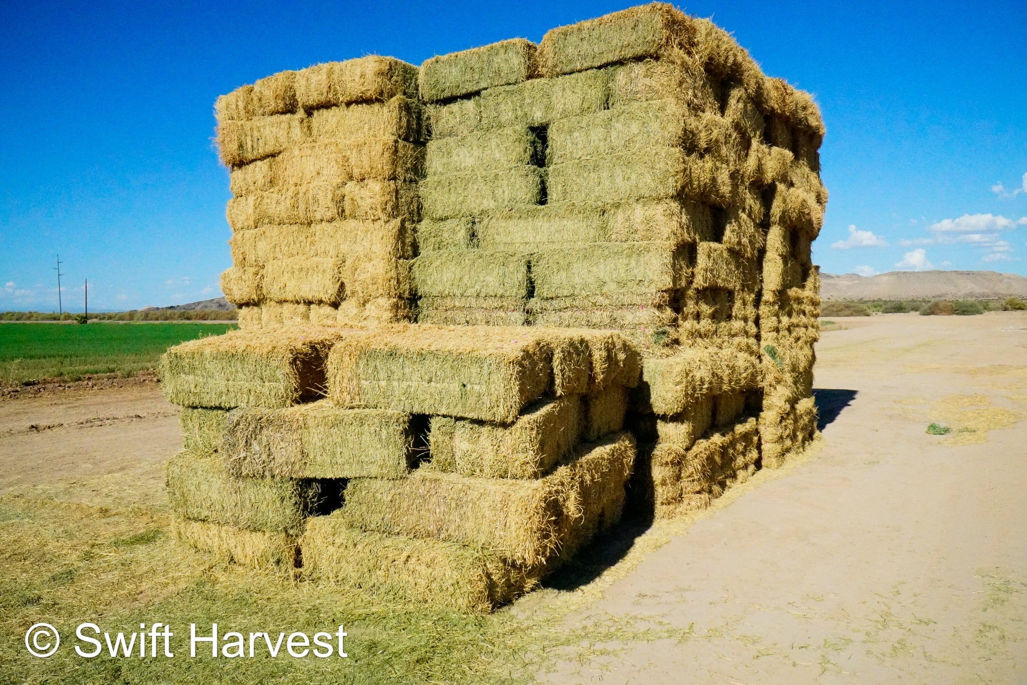 H&C Farms #1 Alfalfa 3 String Bale Hay M1-5-24 Prem/Supr AZ Alfalfa Bermuda Mix Small Bale CP 20 RFV 178 TDN 62  FACS 85/110