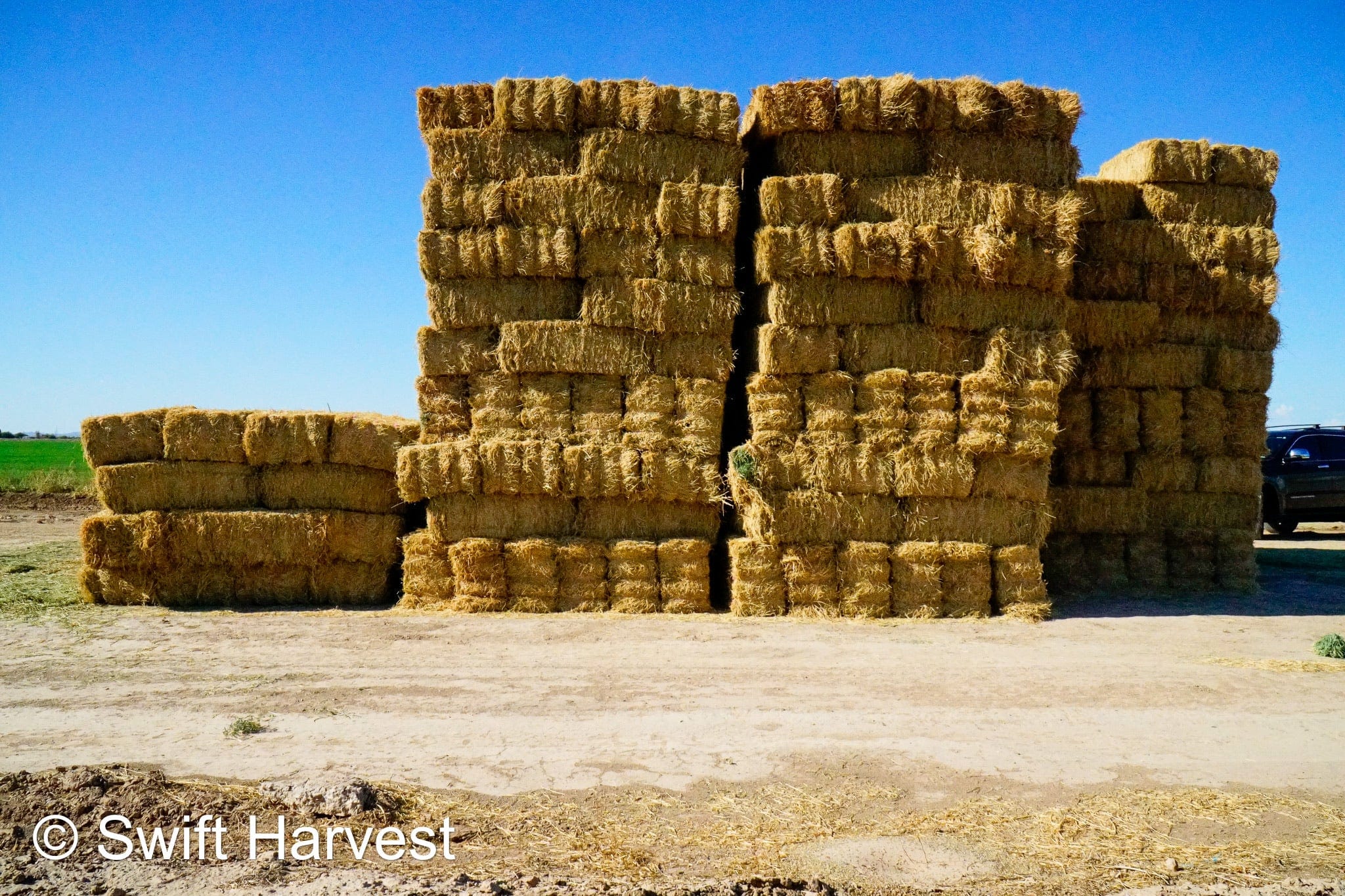 H&C Farms #1 Alfalfa 3 String Bale Hay M1-5-24 Prem/Supr AZ Alfalfa Bermuda Mix Small Bale CP 20 RFV 178 TDN 62  FACS 85/110