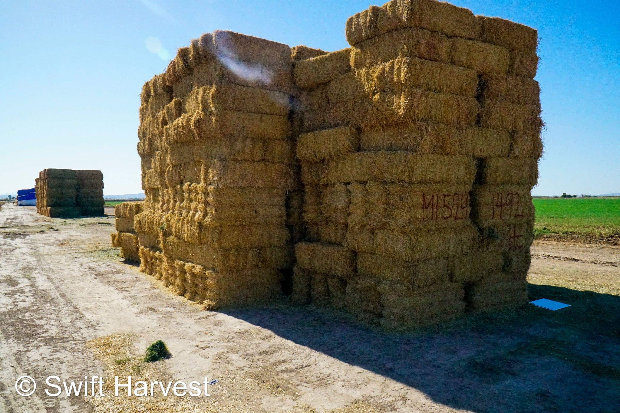 H&C Farms #1 Alfalfa 3 String Bale Hay M1-5-24 Prem/Supr AZ Alfalfa Bermuda Mix Small Bale CP 20 RFV 178 TDN 62  FACS 85/110