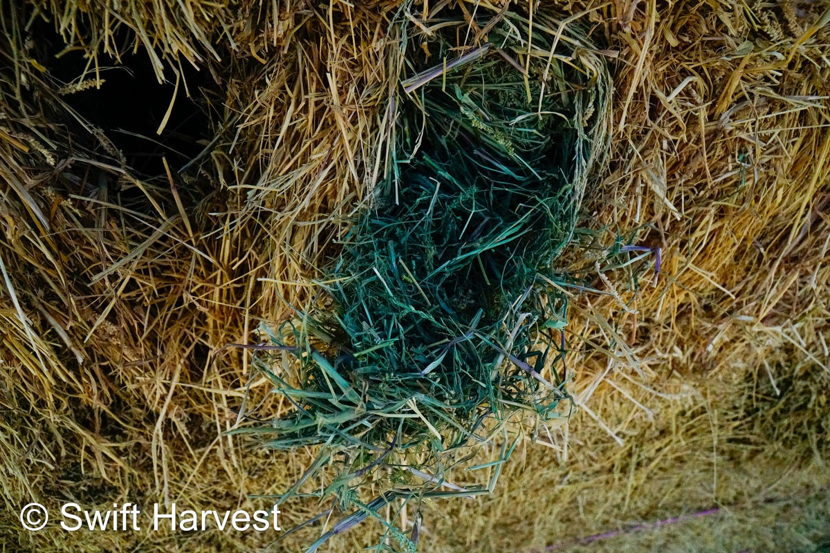 H&C Farms #1 Alfalfa 3 String Bale Hay M1-5-24 Prem/Supr AZ Alfalfa Bermuda Mix Small Bale CP 20 RFV 178 TDN 62  FACS 85/110