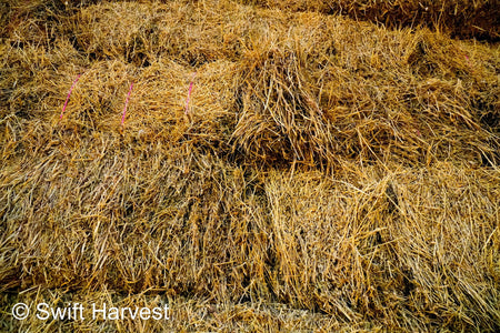 H&C Farms #1 Alfalfa 3 String Bale Hay M1-5-24 Prem/Supr AZ Alfalfa Bermuda Mix Small Bale CP 20 RFV 178 TDN 62  FACS 85/110