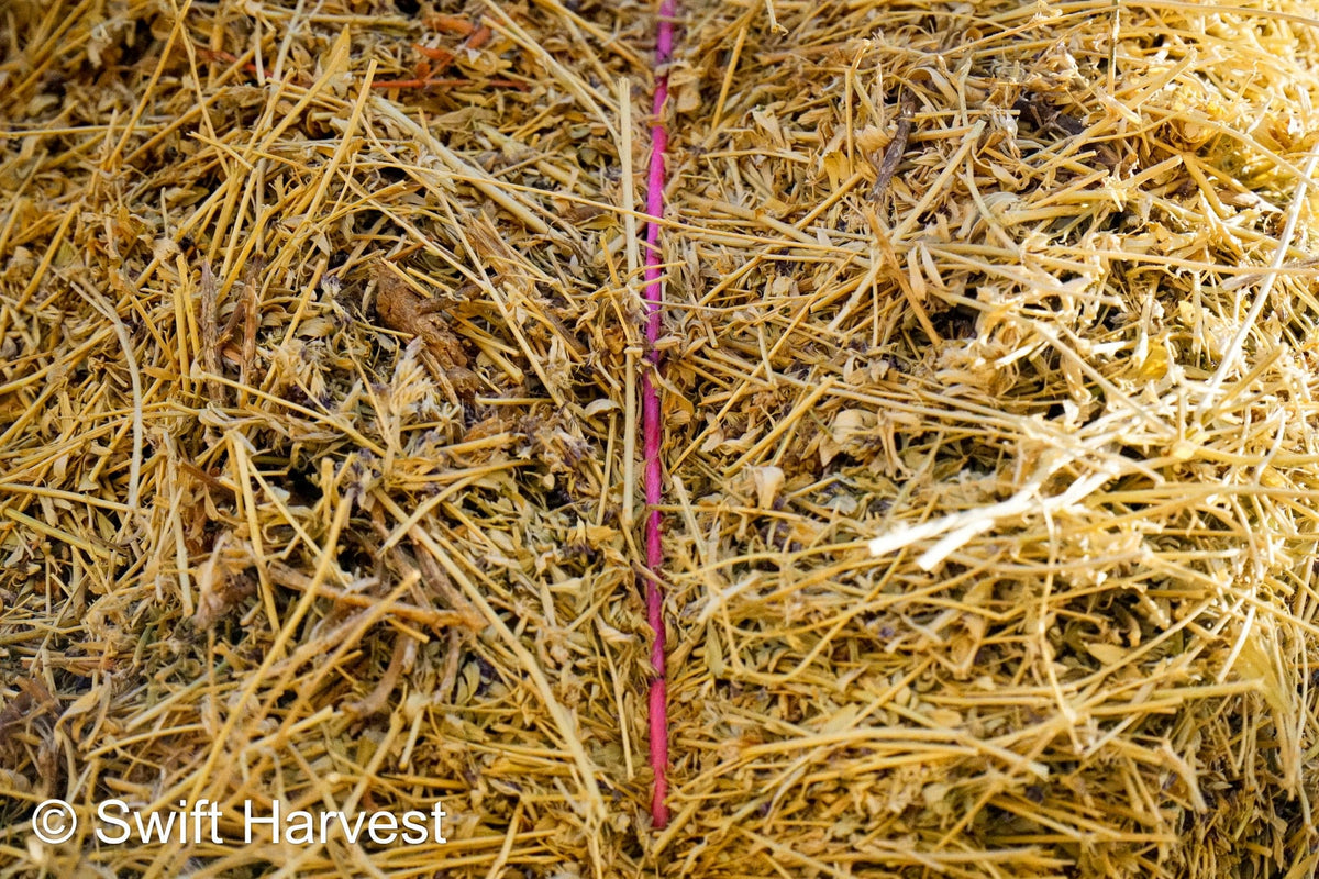 H&C Farms #1 Alfalfa 3 String Bale Hay M1-5-24 Prem/Supr AZ Alfalfa Bermuda Mix Small Bale CP 20 RFV 178 TDN 62  FACS 85/110