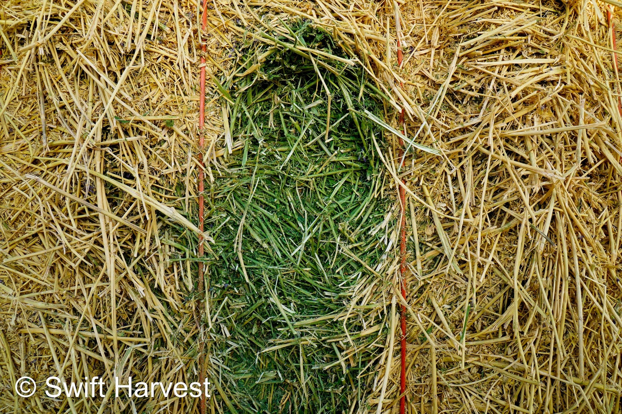 H&C Farms #1 Alfalfa 3 String Bale Hay N1-3-24 Test Hay Good Arizona Alfalfa Big Bale RFV 166 CP 19.70 TDN 58.92 FACS 89/110