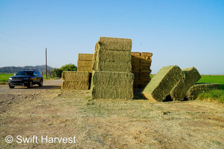 H&C Farms #1 Alfalfa 3 String Bale Hay N1-3-24 Test Hay Good Arizona Alfalfa Big Bale RFV 166 CP 19.70 TDN 58.92 FACS 89/110