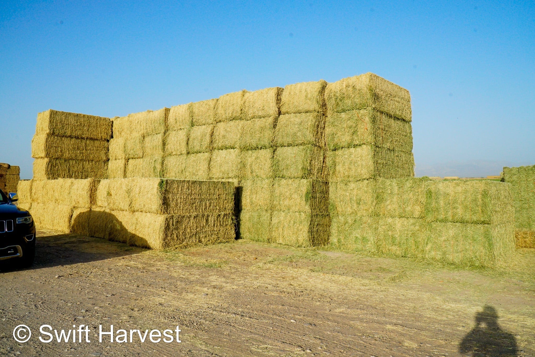 H&C Farms #1 Alfalfa 3 String Bale Hay N1-3-24 Test Hay Good Arizona Alfalfa Big Bale RFV 166 CP 19.70 TDN 58.92 FACS 89/110